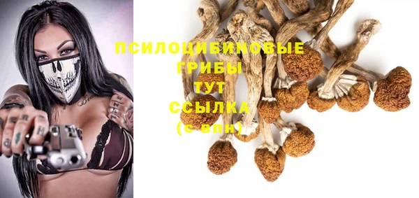 прущая мука Верея