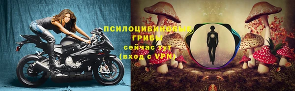 прущая мука Верея