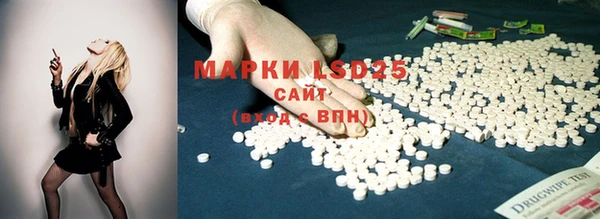 прущая мука Верея